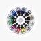 Dr. Ph. Martin's® Iridescent Calligraphy Color, 1.0 US fl oz, Set 1, 1 Set of 12 Bottles
